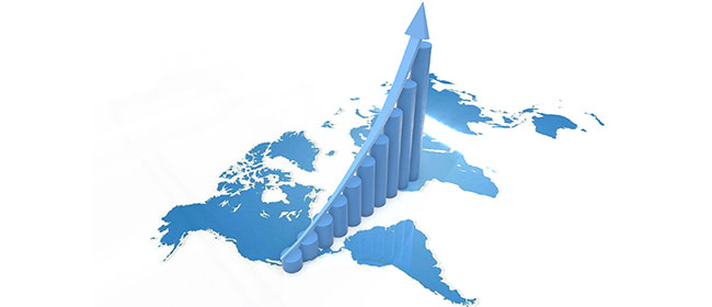 國內(nèi)外銷售網(wǎng)絡(luò)